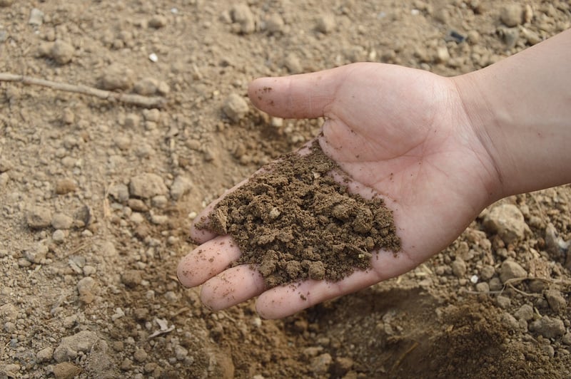 Organic Fertilizers