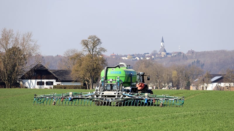 Plant Fertilizer